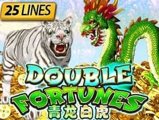 Double Fortunes game screenshot